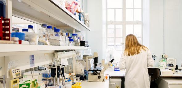 Part IA Demonstrating | Current Postgraduate Students